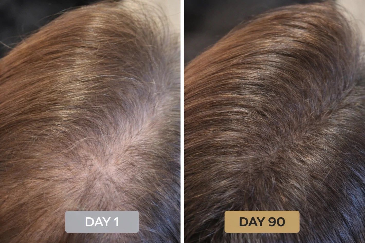 Day 1 and Day 90 part-line progress